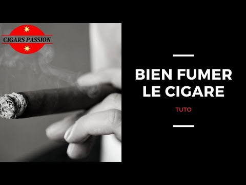 download lagu mp3 mp4 Fumer Le Cigare, download lagu Fumer Le Cigare gratis, unduh video klip Fumer Le Cigare