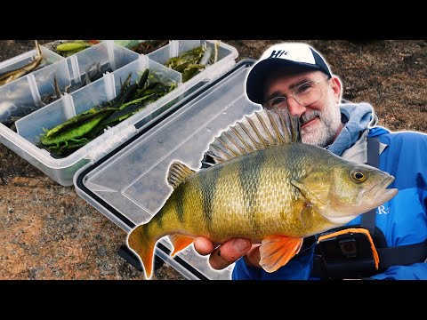 Perch fishing: DROPSHOT with solid tip and creature bait