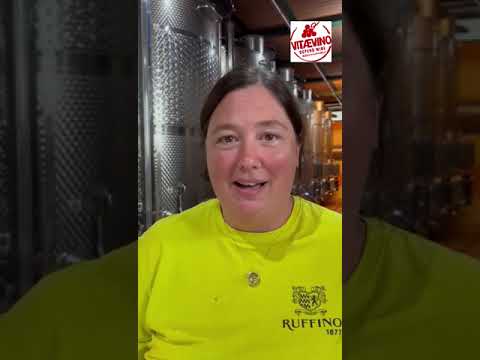 Video of Wine worker