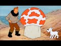 TinTin And The Shooting Star Tintin Shootingstar Milou Cartoon Animation