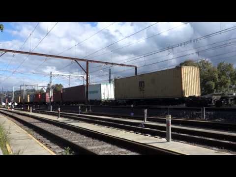 Qube RL leads 4112 - 11/6/14