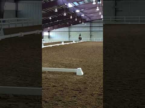 Alex and Diesel, 4T-1/ 07-12- 2020