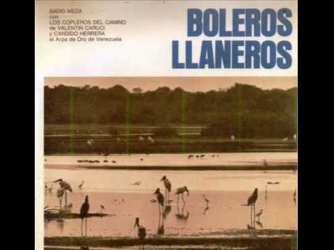 FG  Dos Penas - Sadid Meza