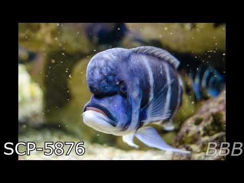 SCP 5876   Holy Mackeral