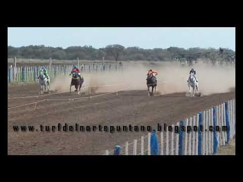 Solitario, Los Cerrillos (28-5-23)