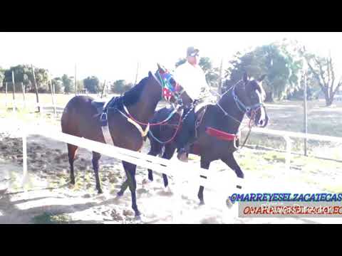 Carreras en las BARANDAS  ( LA LEYDI  VS LA MULITA )