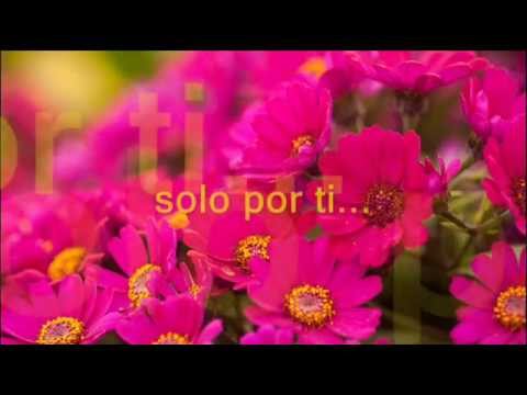 Cursi - José Manuel Figueroa
