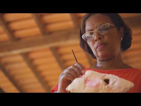 Campanha Institucional 2017