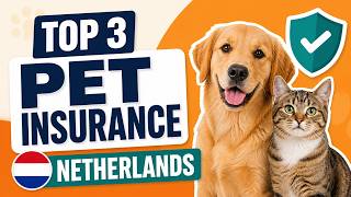 3 Best Pet Insurance in the Netherlands 2026 | Compare Coverage