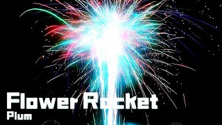 Cover art for Flower Rocket