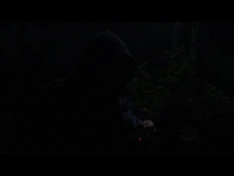 MOLLY & XANZY - NAWYK [VISUALIZER]