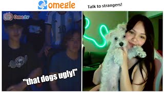 Going on Omegle with my Puppy