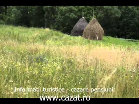 Cazare Basarabi, Dolj - Cazat.ro