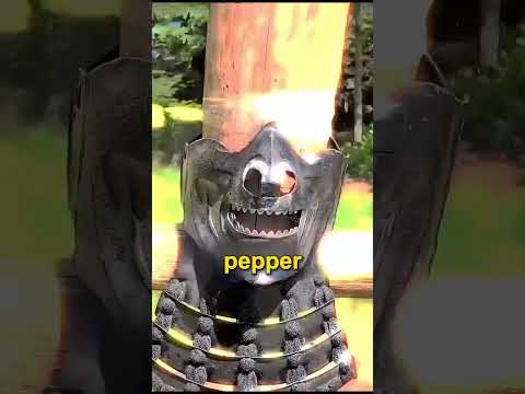 What elite ninjas carried was actually terrifying