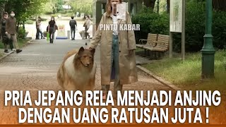 Download lagu The Story of a Japanese Man Willing to Spend Hundreds of Millions to Become a Colilie Dog mp3 Download lagu The Story of a Japanese Man Willing to Spend Hundreds of Millions to Become a Colilie Dog mp3