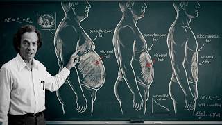 What Your Belly Shape Reveals About Your Health