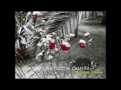 Këngë Popullore Leskoviqare Trendafil prej dimri këndojnë  Jorgji Duro Dhimitraq Joti