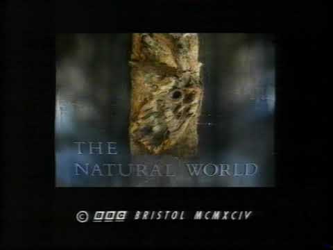 YLE TV1 Ohjelman Jälkeen, Tulevia Ohjelmia Syyskuu 1998 (jää kesken)