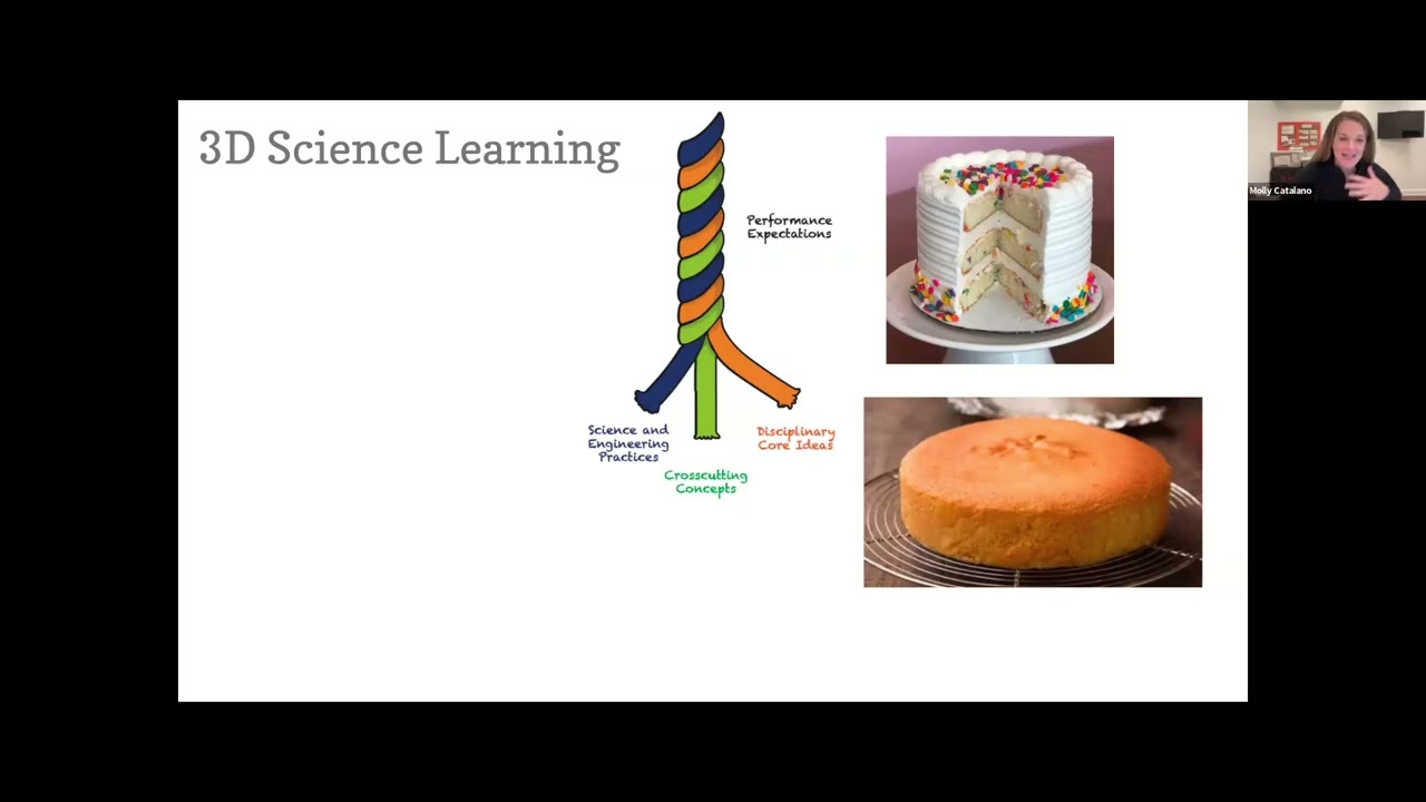 Three-Dimensional Learning 101: Breaking Down the Basics | Amplify