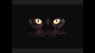 Swat Squad - Escoria (Franklin de Costa remix)