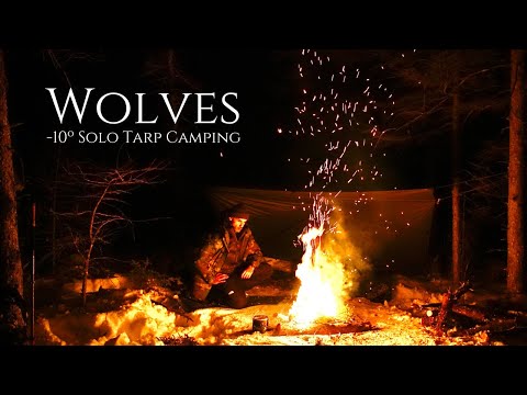 Winter Camping Alone near WOLVES! -10ºC