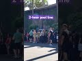 Worth The Wait Poolparty Hollywood Swimmingpool