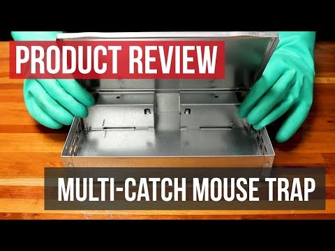 Multi-Catch Humane Mouse Trap: Product Review