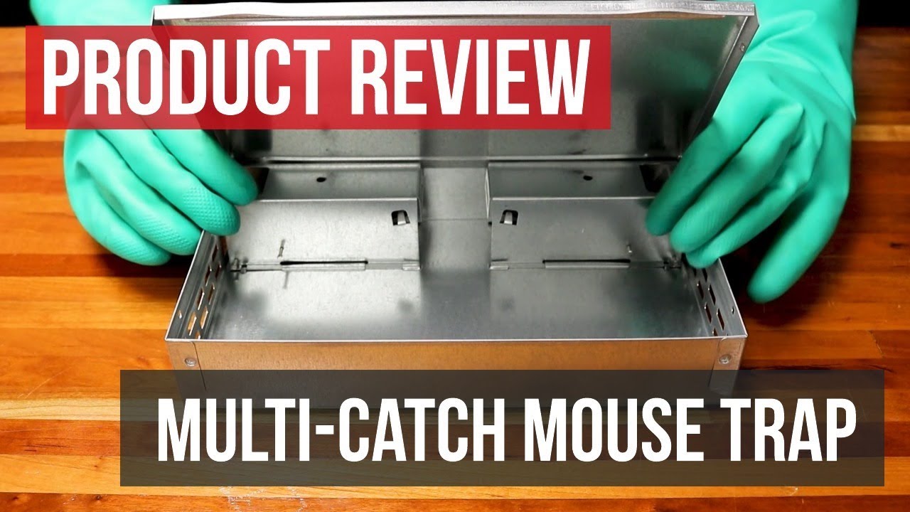 Multi-Catch Humane Mouse Trap: Product Review