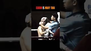 Download lagu Muay Thai elbow 💀 #mma #martialarts #kickboxing #usa #muaythai mp3