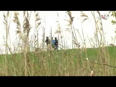 regiotv Tagesprogramm 15.04.2014