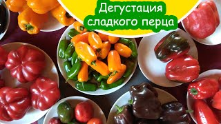 Перец Сладкий Яблочный Спас Отзывы Фото Урожайность Перец Сладкий Яблочный Спас Отзывы Фото Урожайность