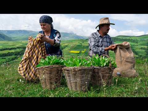 Wild Sorrel Pie from the Village Kitchen