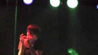 The Blood Brothers - Peacock Skeleton With Crooked Feathers