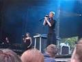 Ozark Henry - Rainbow