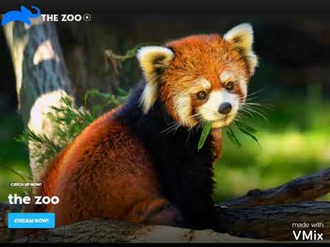 Michael Learns To Rock (MLTR) - ANIMALS (With Lyrics)