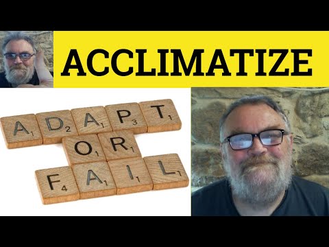 🔵 Acclimatize Meaning - Acclimatise Examples - Acclimate Definition - Acclimatize