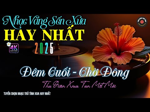 Nhạc TÌNH CA BOLERO Trữ Tình HAY NHẤT, ĐỘC LẠ 2025 - Nhạc Vàng Sến Xưa Chọn Lọc CỰC ÊM TAI DỄ NGHE