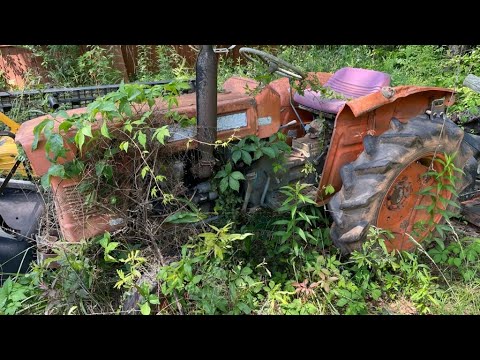 KUBOTA TRACTOR ABANDONED IN THE WEEDS FOR OVER 20 YEARS, WILL IT RUN?