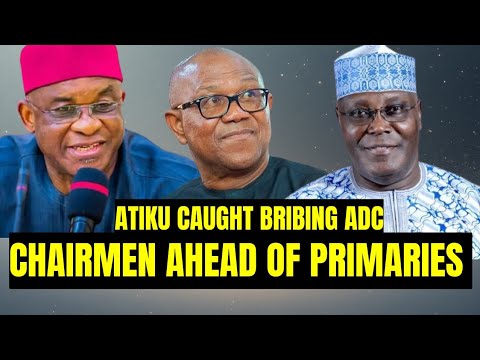 How Atiku Is Rigging Obi Out Of ADC Primary Using ADC State Chairmen. 