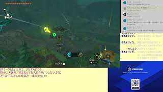 【ゼルダの伝説ティアキン】祠謎解きまとめてやります【ネタバレ注意】