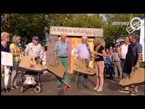 Zomer in Gelderland 10 augustus 2015 - 2015