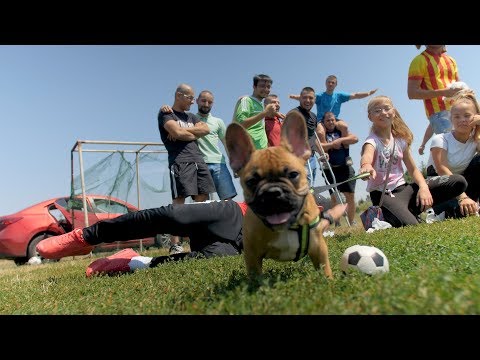 Божинката x POTREZ - KLASATA E VECHNA/ПоТReZ - Класата е вечна