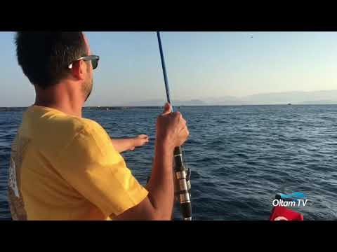 Emrah Ali Başo Kofana şov