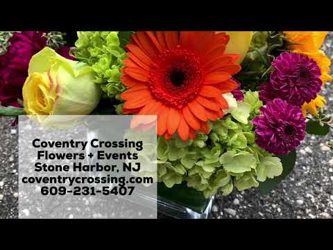 Daily Stone Harbor + Avalon New Jersey Flower Deliveries to Seven Mile Island