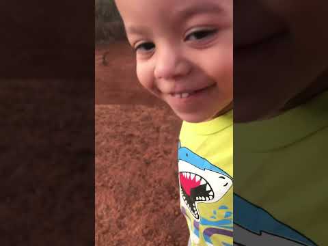 Projeto Notas de Esperança- Cocalzinho de Goiás - Assentamento Santa Felicidade INCRA