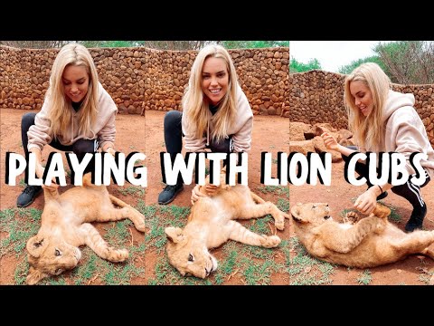 VLOG: PLAYING WITH LION CUBS! UNFORGETTABLE TRIP! | South Africa Safari Travel (part 1)