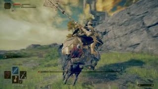ELDEN RING_ツリーガード