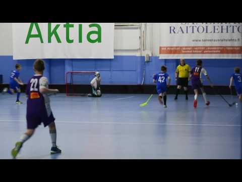 Maalikooste Tapanilan Erä - Light Iron (5 - 8)  11.12.2016