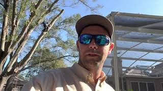 How To Get Rid of Falling Debris from Trees