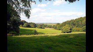Frank Boeijen & Wout Pennings - Elyzese Velden (1978)